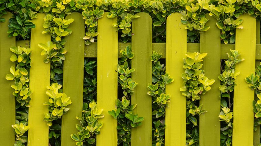 What to Consider Before Replacing Your Existing Fence